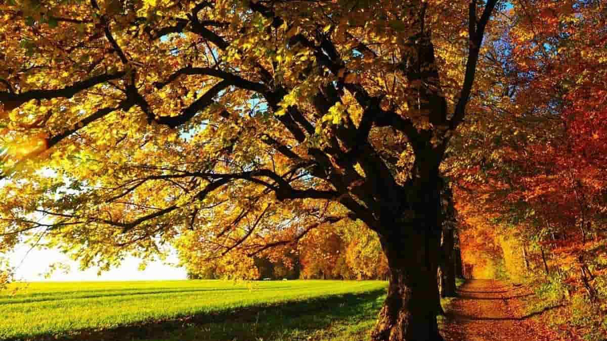 Meteo, al Nord resiste l'«indian summer». Ma sono in arrivo piogge e temporali