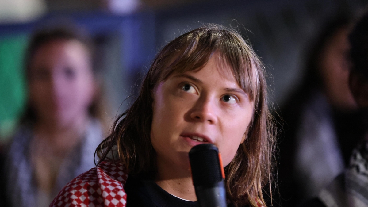 Greta Thunberg: «In Israele mi hanno preso a calci e pugni e legato le mani con delle fascette. Imploravamo per avere dell'acqua»