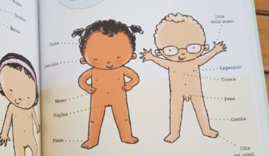 Scuola, educazione sessuale vietata fino alle medie. Scontro governo-opposizione: «No all'ideologia gender», «Deriva oscurantista»