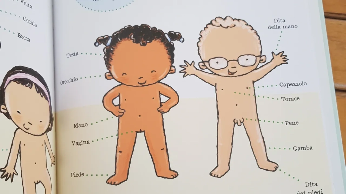 Scuola, educazione sessuale vietata fino alle medie. Scontro governo-opposizione: «No all'ideologia gender», «Deriva oscurantista»