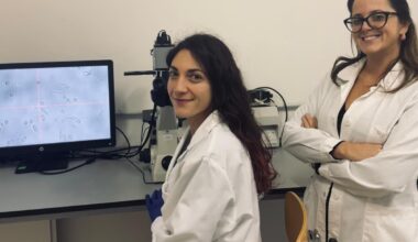 Tumori rari e al colon, il nuovo farmaco «selettivo» che colpisce solo le cellule malate: «Speranza di cura per sostituire la chemioterapia tradizionale»
