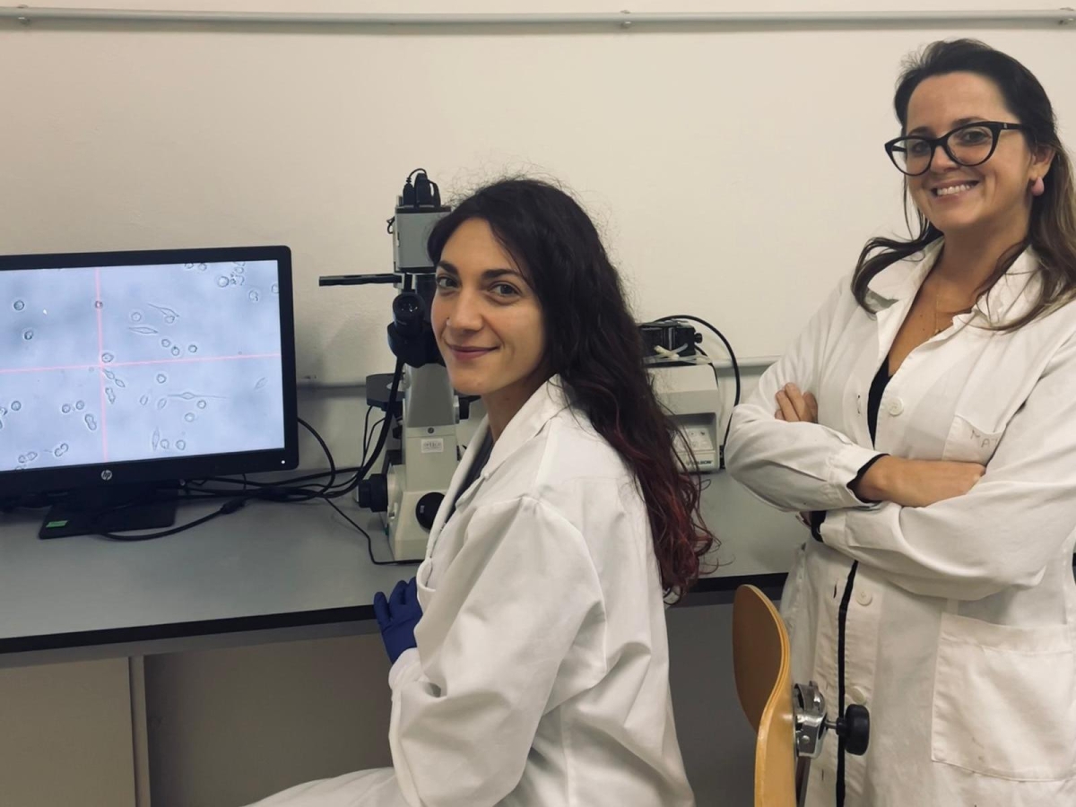 Tumori rari e al colon, il nuovo farmaco «selettivo» che colpisce solo le cellule malate: «Speranza di cura per sostituire la chemioterapia tradizionale»
