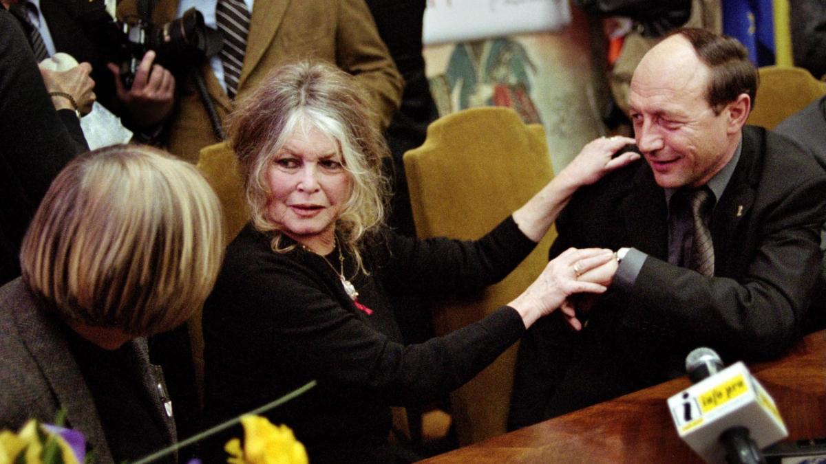 Brigitte Bardot ricovero per un'operazione: come sta l'attrice