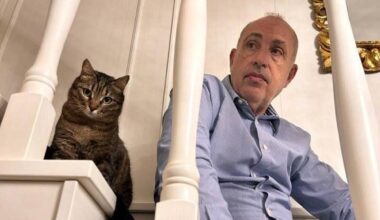 Marchesini: «Gli animali sono creativi quanto noi. La loro arte è la capacità di sopravvivere»