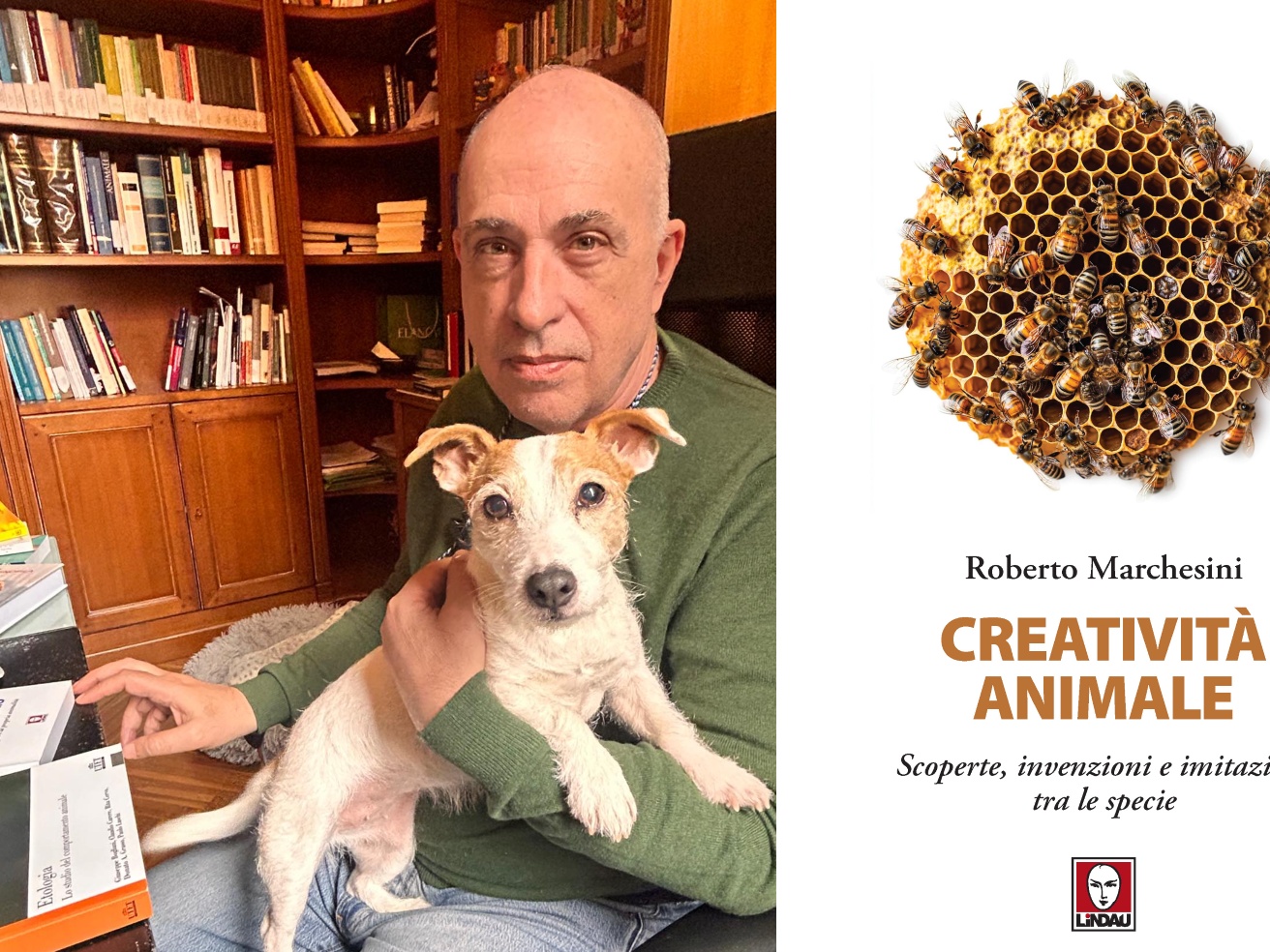 Marchesini: «Gli animali sono creativi quanto noi. La loro arte è la capacità di sopravvivere»