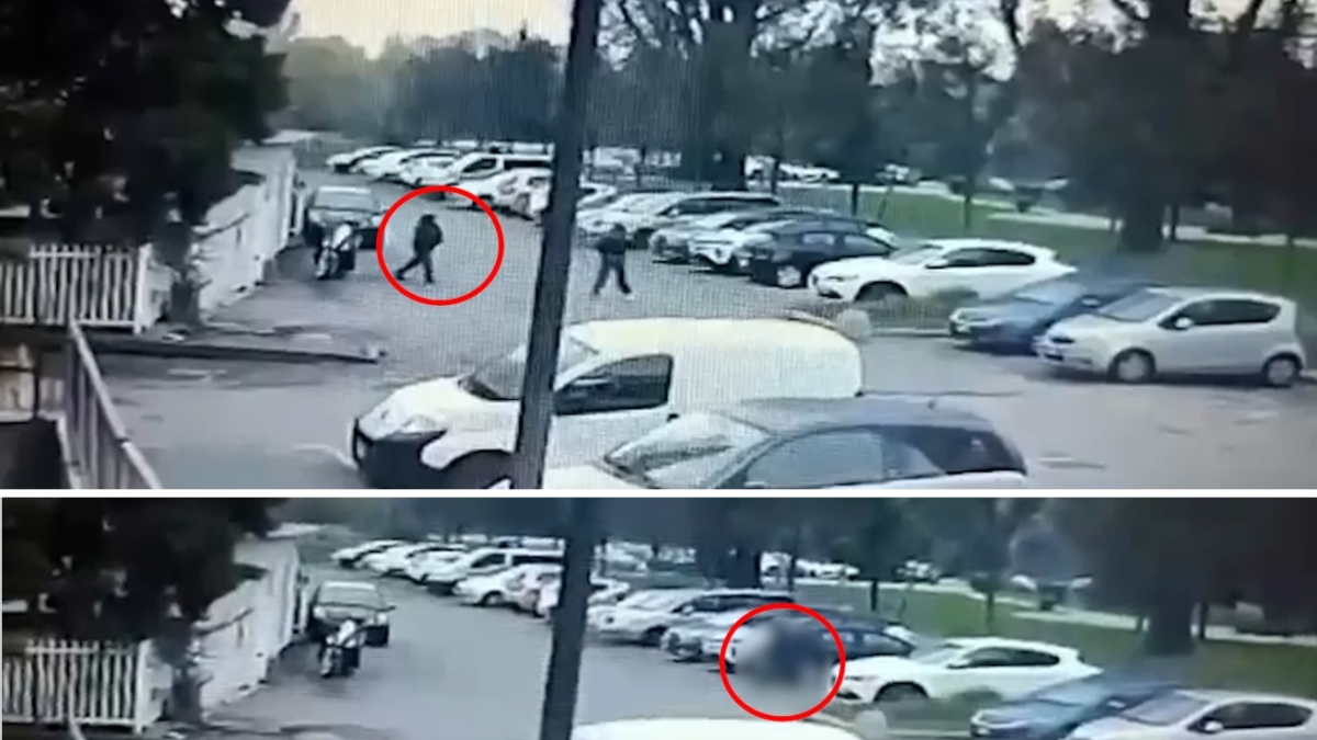 Il video dell'agguato di Luigi Morcaldi a Luciana Ronchi: lei cerca di evitarlo, lui la accoltella. L'intervento dei passanti, poi il crollo