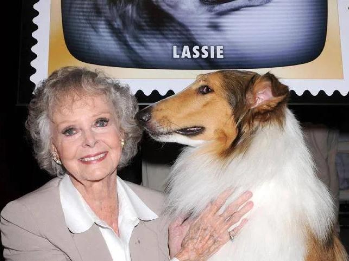 June Lockhart, morta a 100 anni la «mamma» di Lassie