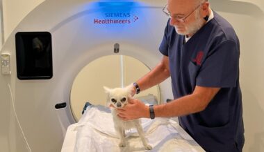 «Curo i tumori più terribili nei cani con le cellule staminali. Tutto iniziò con la promessa fatta a mia moglie, morta per glioblastoma»