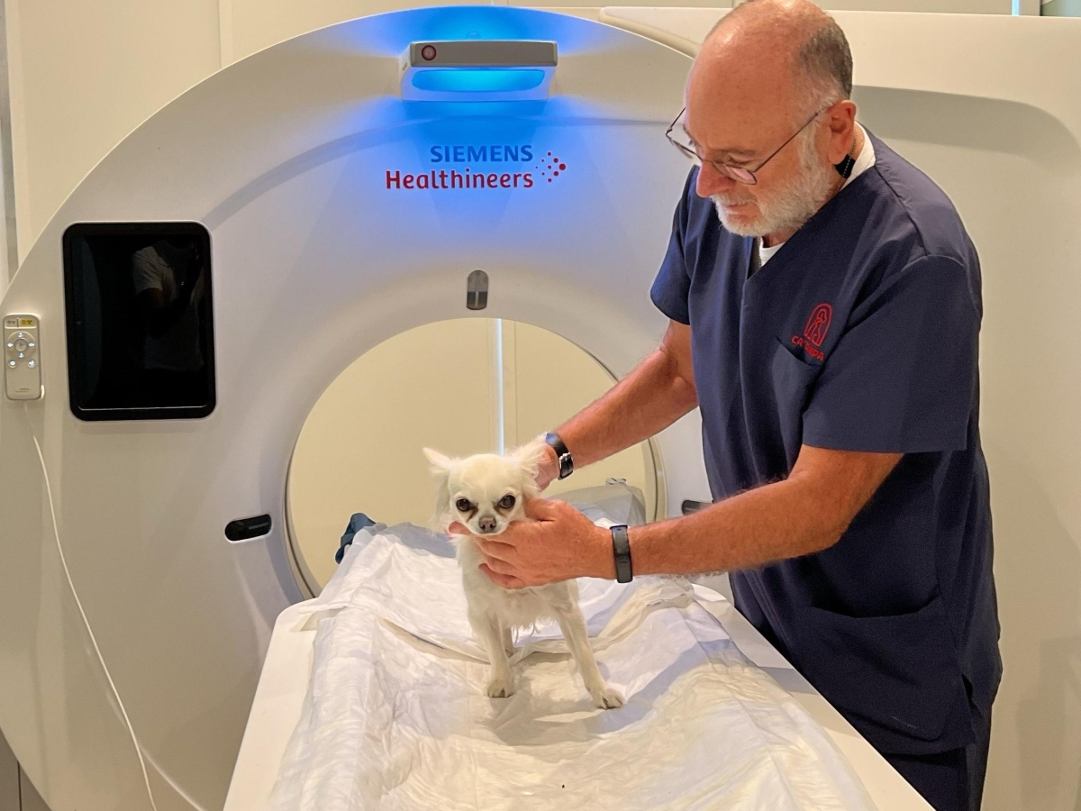 «Curo i tumori più terribili nei cani con le cellule staminali. Tutto iniziò con la promessa fatta a mia moglie, morta per glioblastoma»