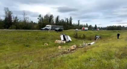 Macachi per esperimenti fuggono dal tir ribaltato. Lo sceriffo: «Li abbiamo uccisi tutti tranne uno, erano pericolosi»