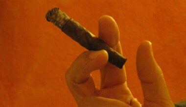 ​Sigarette elettroniche e sigari, aumento prezzi per 68 marche di tabacchi lavorati: ecco quali e di quanto cambiano - Il Messaggero