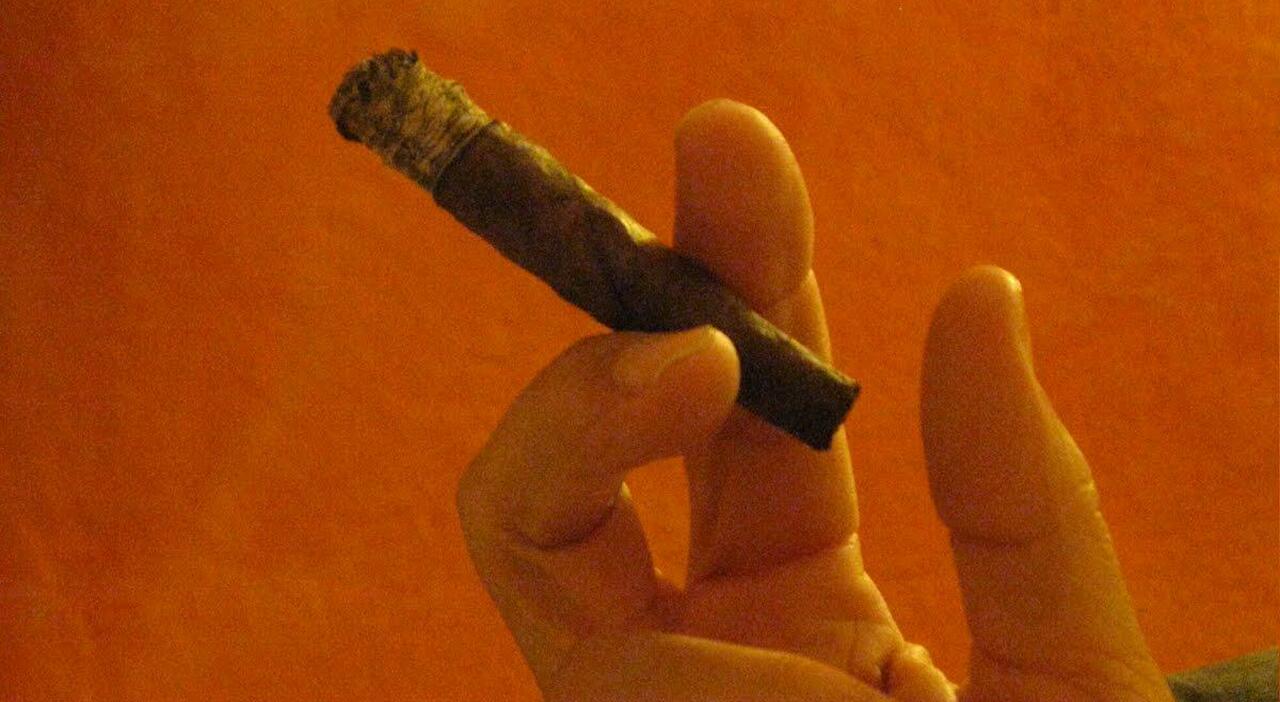 ​Sigarette elettroniche e sigari, aumento prezzi per 68 marche di tabacchi lavorati: ecco quali e di quanto cambiano - Il Messaggero