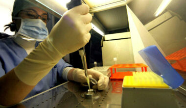 il nuovo studio dell'università di Genova