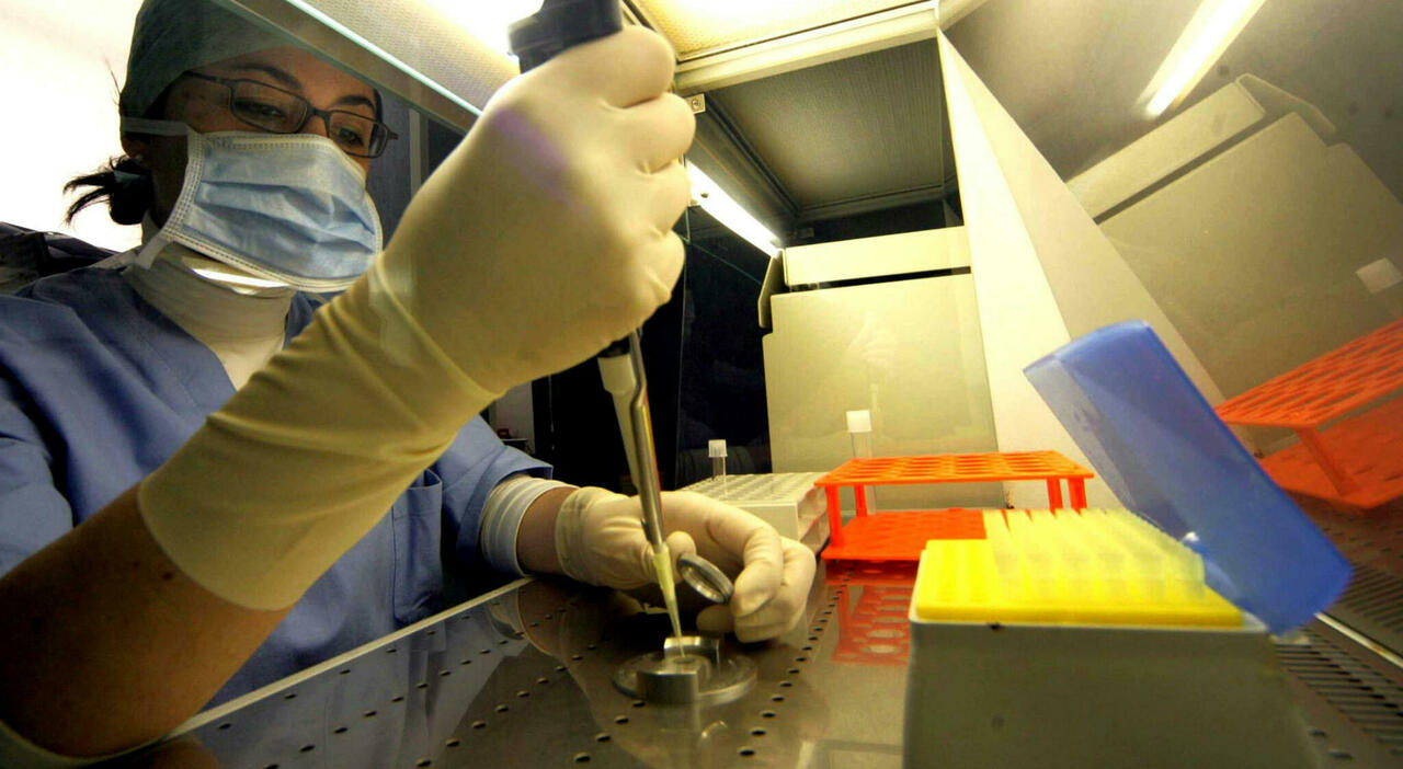 il nuovo studio dell'università di Genova