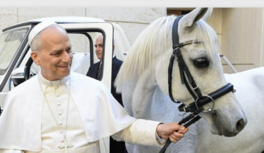 Leone XIV vuole montare il suo purosangue arabo e invita il donatore a Castel Gandolfo a cavalcare con lui