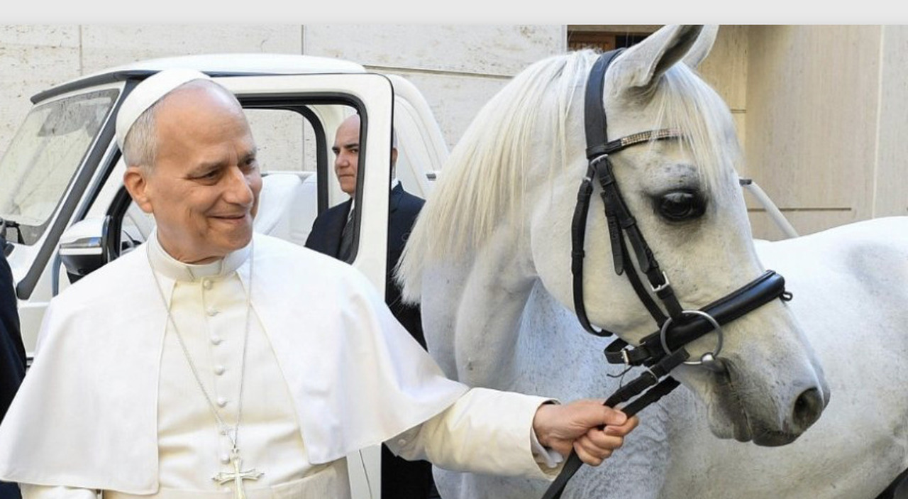 Leone XIV vuole montare il suo purosangue arabo e invita il donatore a Castel Gandolfo a cavalcare con lui