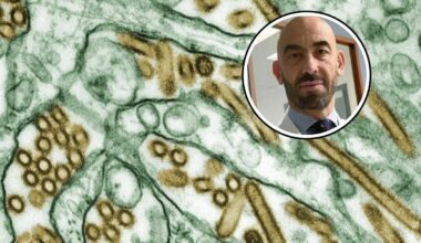 «Rischiamo 20 milioni di contagi». Quando il picco e come riconoscere i sintomi