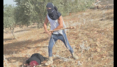 L'ira del Vaticano contro i coloni in Cisgiordania, violenze sui contadini palestinesi che raccolgono olive