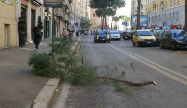 Allerta vento su Roma. «Chiusi parchi, cimiteri e strade a rischio». Ecco l'ordinanza del sindaco