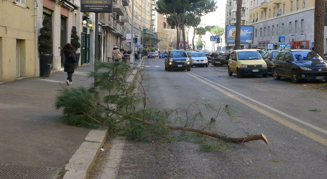 Allerta vento su Roma. «Chiusi parchi, cimiteri e strade a rischio». Ecco l'ordinanza del sindaco