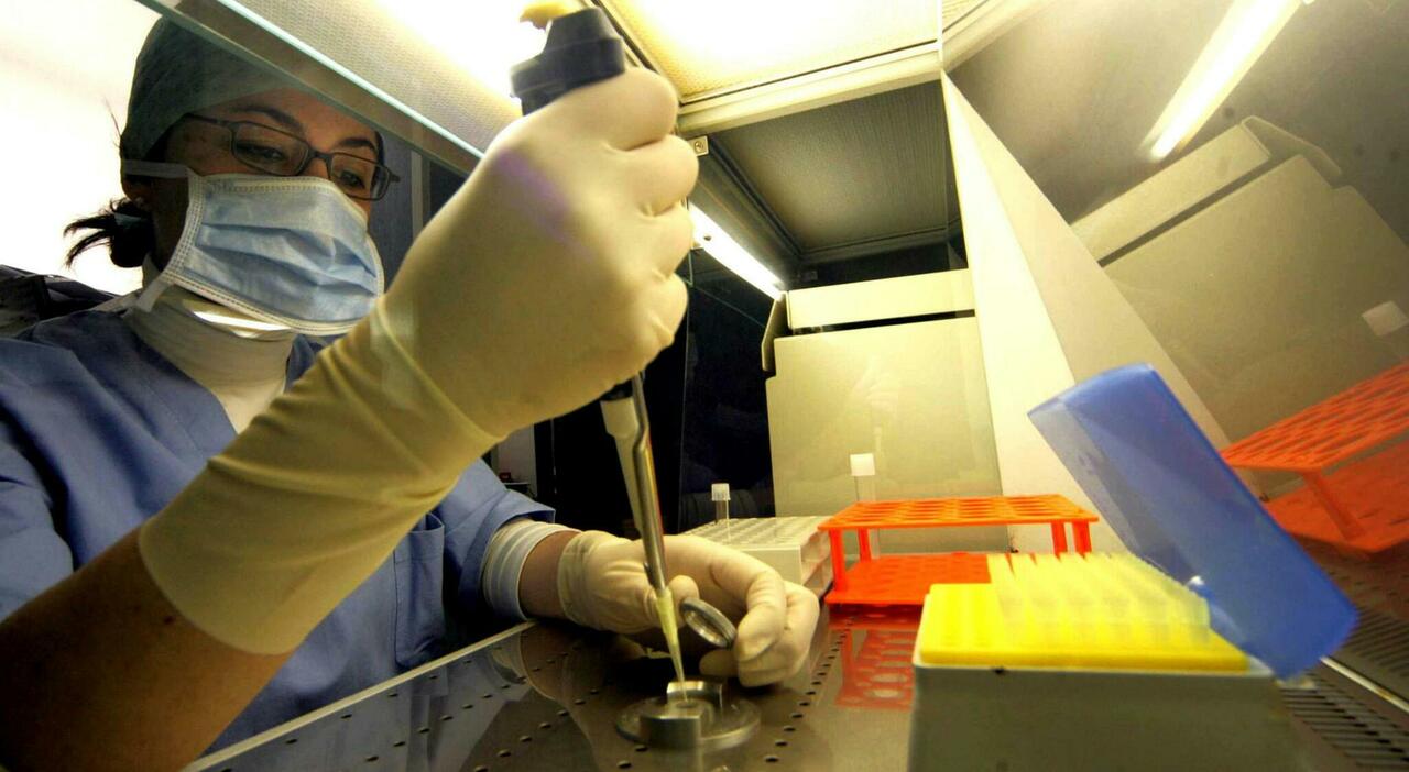 Tumore polmoni e melanoma, vaccini Covid Rma raddoppiano efficacia terapia immunitaria