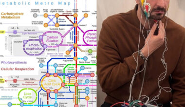 Diabete, il dispositivo Chewing in grado di rilevare la malattia dalla masticazione: ecco come funziona