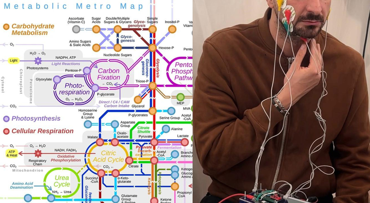 Diabete, il dispositivo Chewing in grado di rilevare la malattia dalla masticazione: ecco come funziona