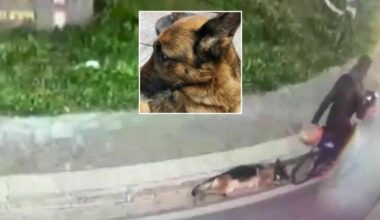 con la e-bike da Volla a San Sebastiano al Vesuvio. Due denunciati