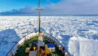 un piccolo crostaceo scatena una guerra internazionale