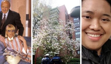 il quartiere Milano 2 immerso nel verde, i vicini vip, i fenomeni “paranormali” e il prezzo