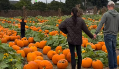 per il weekend in campagna outfit da 1.600 dollari