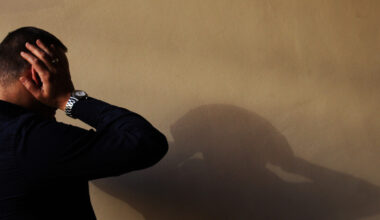 Psicologi, bene Piano salute mentale ma resta nodo consultori - Sanità