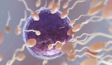 Preservazione della fertilità nelle giovani pazienti oncologiche