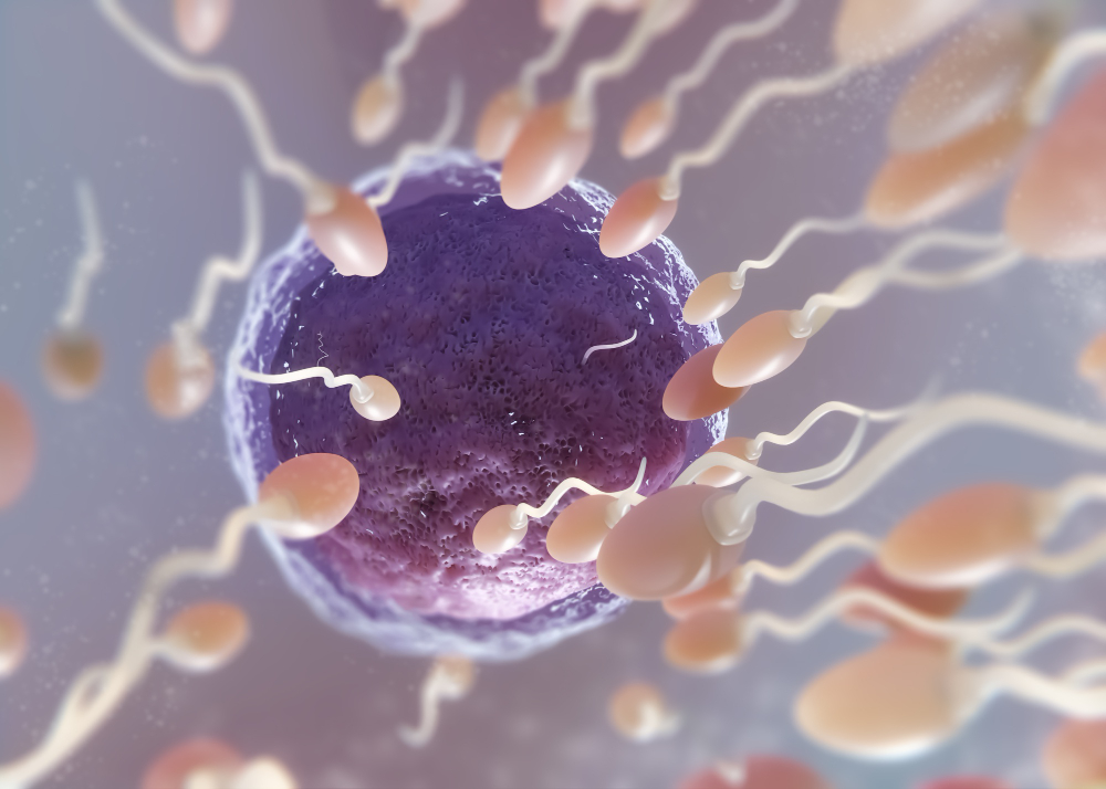 Preservazione della fertilità nelle giovani pazienti oncologiche