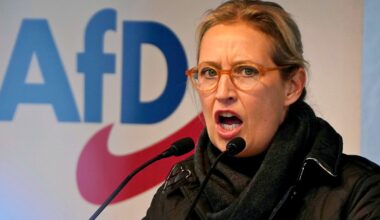 Germania, Afd vola nei sondaggi e supera la Cdu. Scricchiola il "muro di protezione" costruito attorno ai populisti di Alice Weidel
