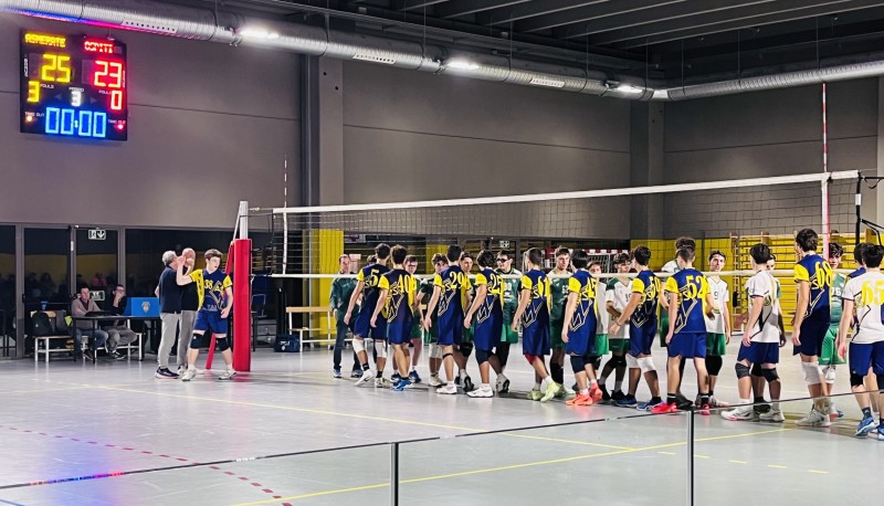 As_Volley1.jpeg (108 KB)