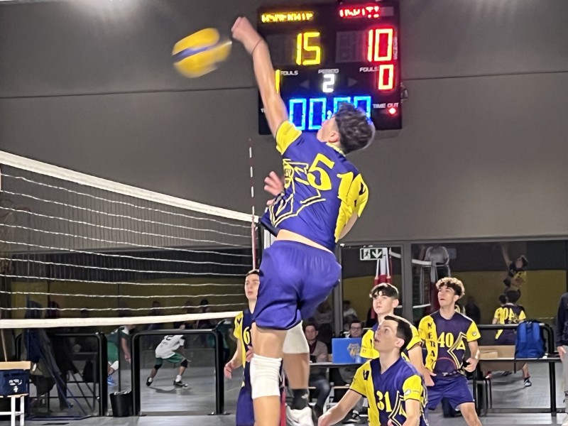 As_Volley2.jpeg (113 KB)