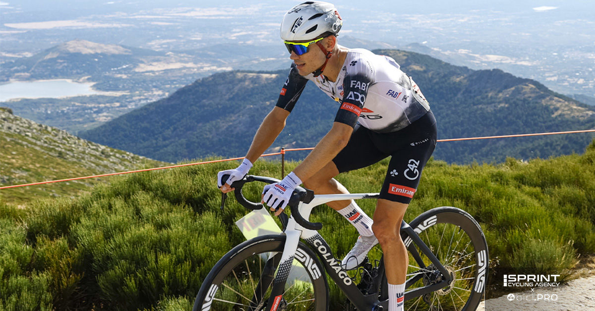 Ayuso e la UAE: l’idea di Saronni sul divorzio “in corsa”