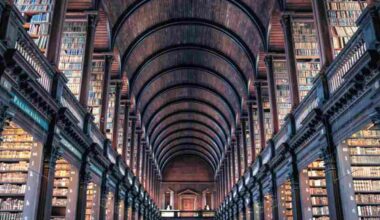 La biblioteca di Harry Potter esiste davvero: è stata eletta la più bella del mondo 2025 - alanews