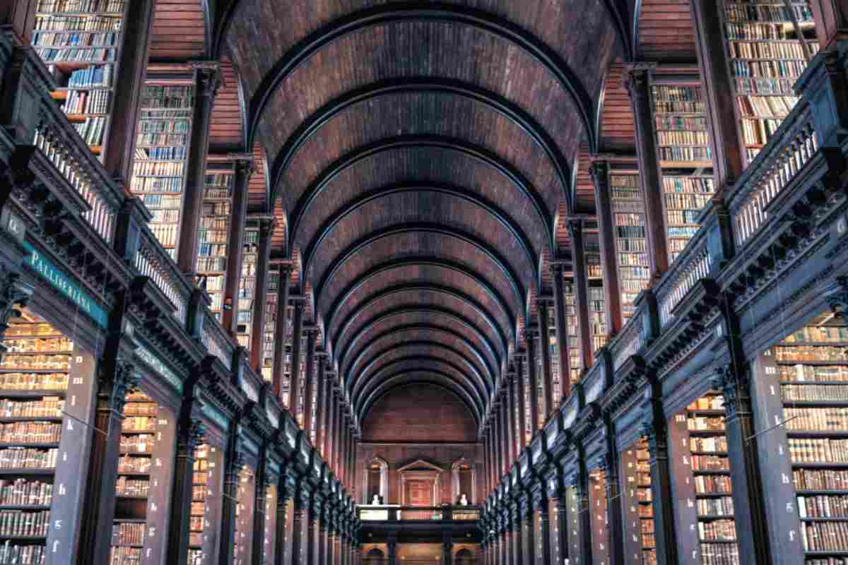La biblioteca di Harry Potter esiste davvero: è stata eletta la più bella del mondo 2025 - alanews