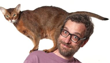 Vanity Fair Italia