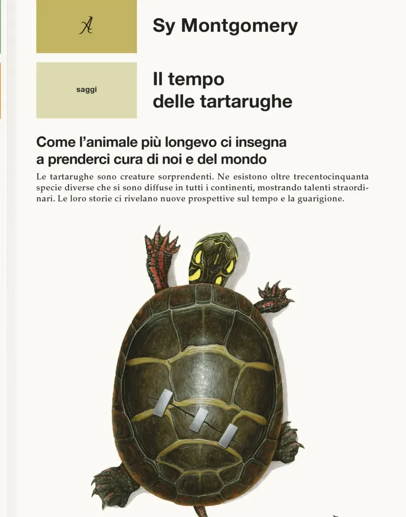 La saggezza delle tartarughe | Andrea Giardina