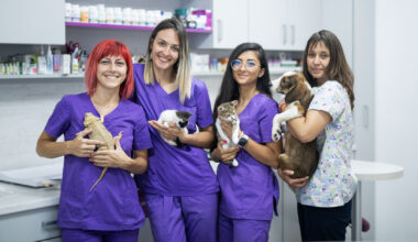 I vaccini per gli animali domestici: ecco il calendario da conservare