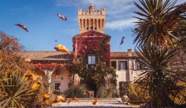 un viaggio tra arte, gusto e storia