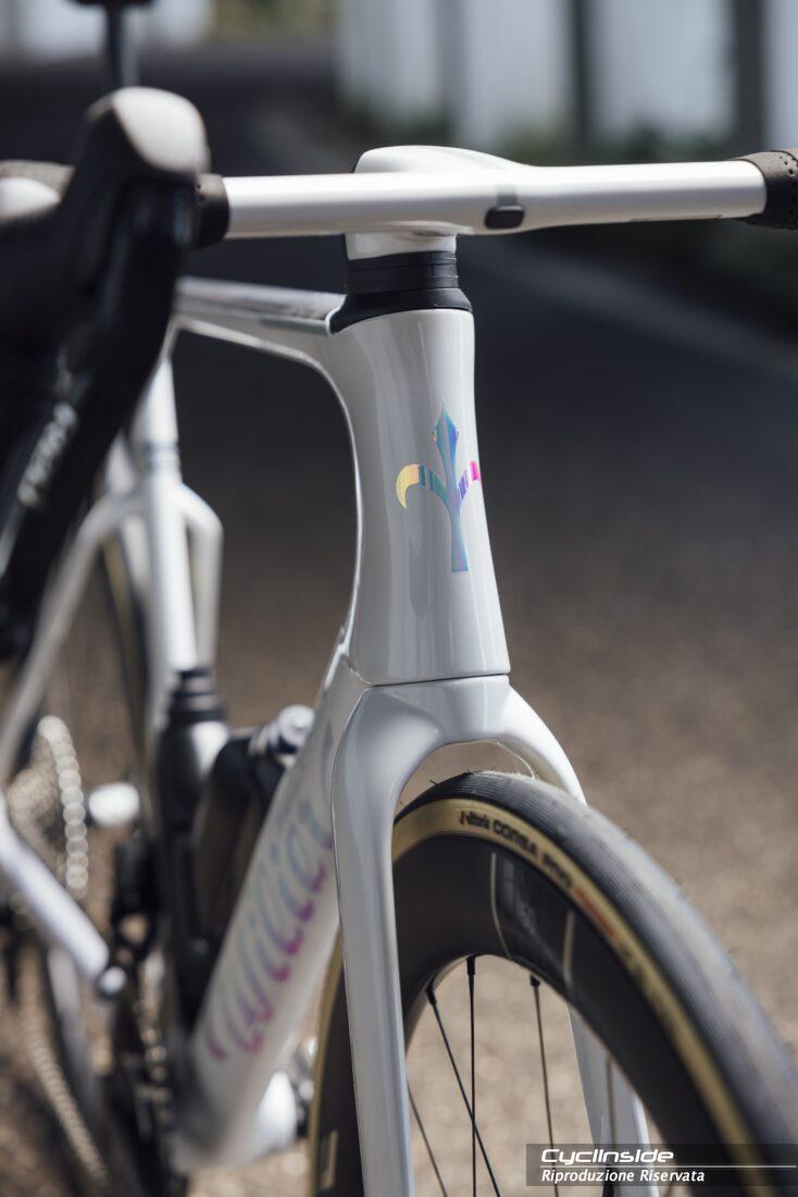 FilanteID2_1_0124 – Cyclinside.it