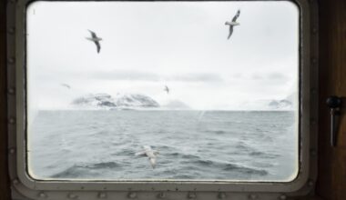 Apre la mostra "Una finestra sull'Artico" di Stefano Unterthiner