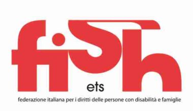 Fornitura di ausili e presidi per persone con disabilità: audizione della FISH al Ministero della Salute