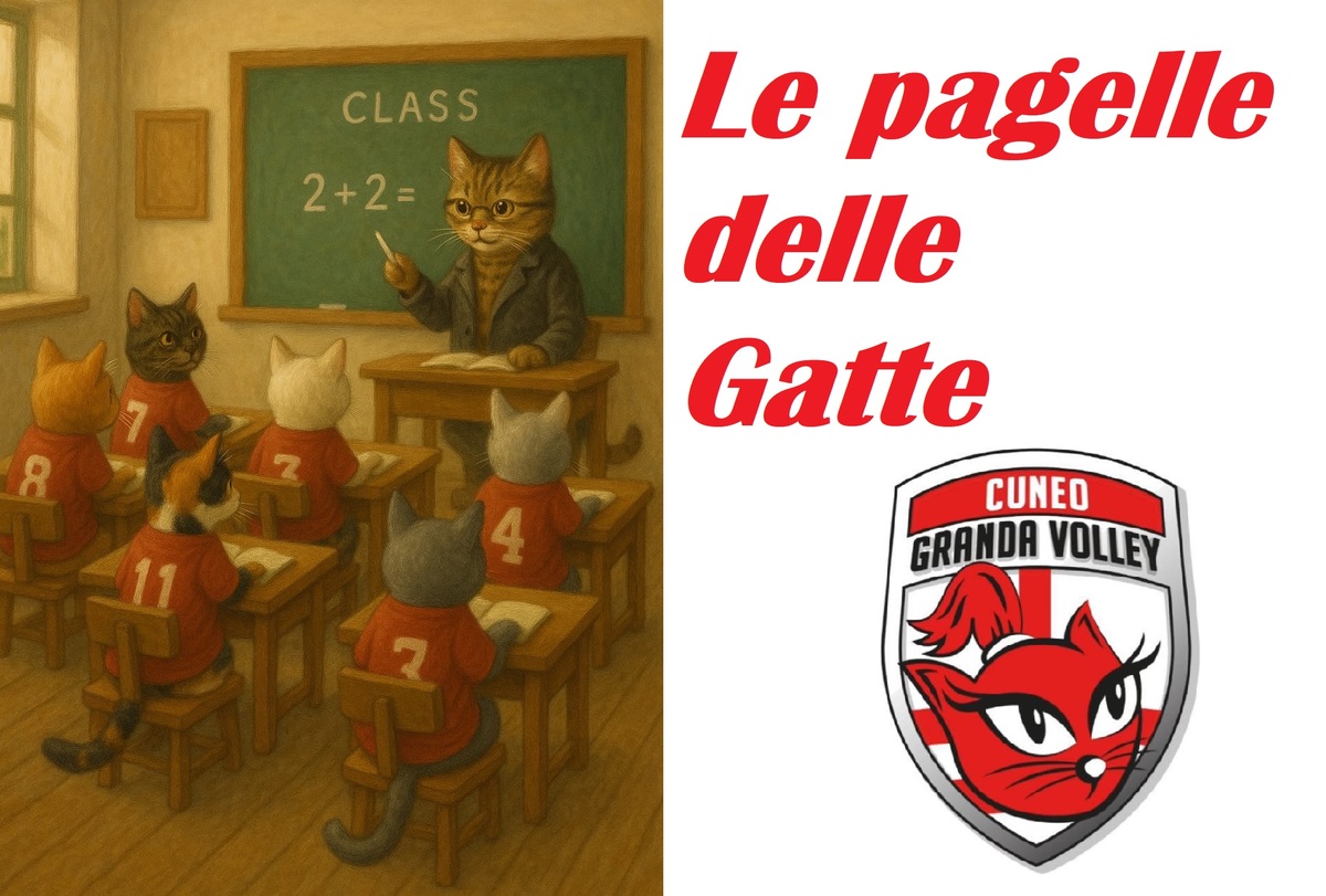 Wash4green Monviso-Honda Cuneo 1-3: le pagelle delle Gatte - Targatocn.it