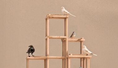 Architectural Digest Italia logo