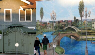 Se avete 30 anni e l'ansia di "sistemarvi", Gli antropologi di Ayşegül Savaş è il romanzo da leggere • Rivista Studio